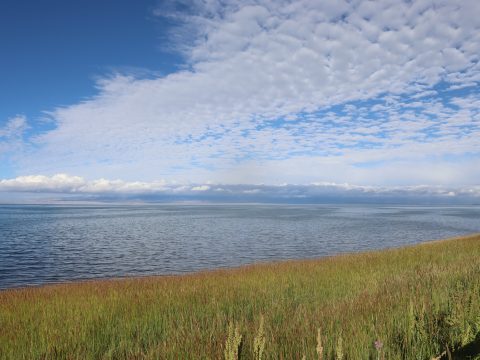 hello, here’s Ella