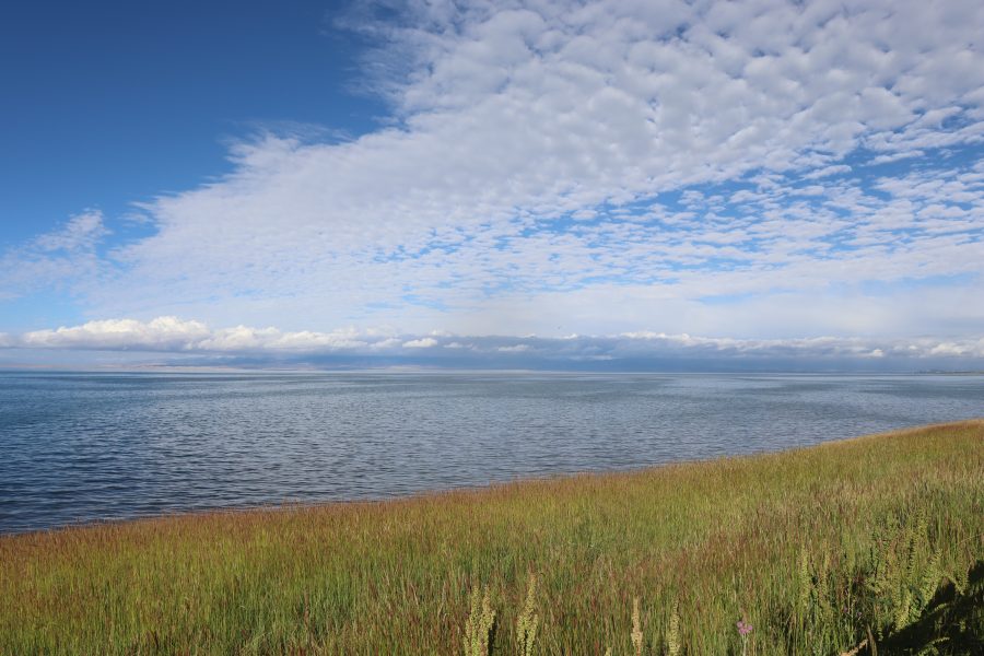 hello, here’s Ella