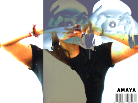 Construction of Identity in a Digital World: The “faces” of ourselves.