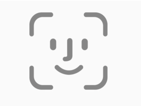 Algorithmic Biases in AI Face Recognition